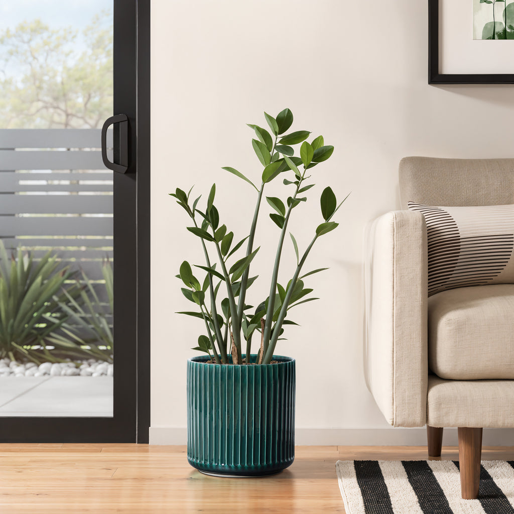Jade Green Ribbed Tabletop Decorative Ceramic Planter, 11.4"