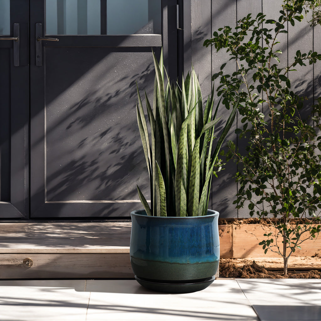 Blue Green Ombre Round Decorative Ceramic Garden Bowl, 12"