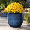 Ocean Blue Tabletop Decorative Ceramic Planter, 12"