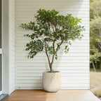 Antique White Tapered MgO Indoor Outdoor Garden Planter, 13.6"