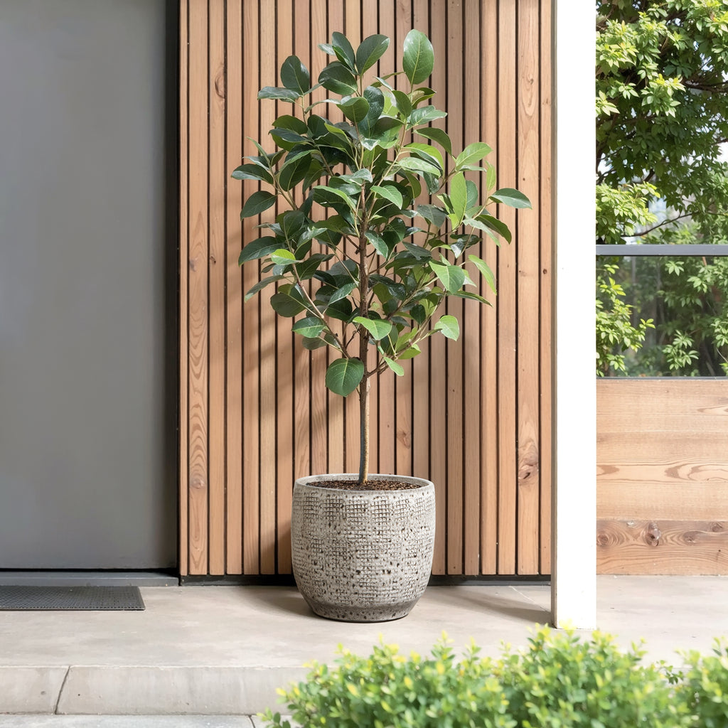 Gray Grid Tabletop Ceramic Indoor Outdoor Planter Pot, 12"