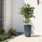 Ocean Grid Teal Ceramic Textured Garden Pot, 17.3"