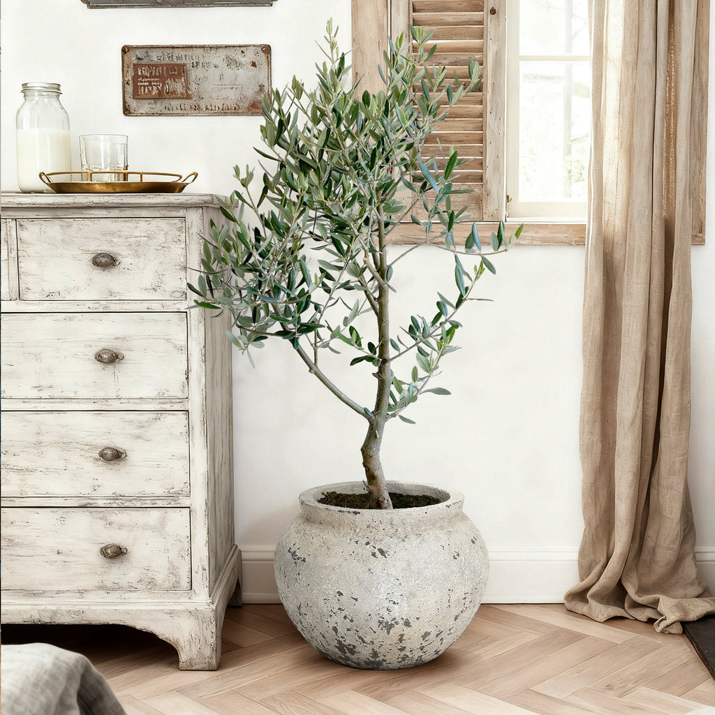 Linden Wide Stone-Effect MgO Planter, Rustic White, 12"