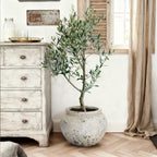 Linden Wide Stone-Effect MgO Planter, Rustic White, 12"