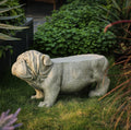 Gray MgO Bulldog Garden Statue